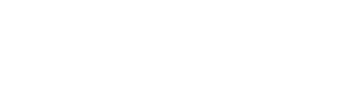 Black Rhino logo