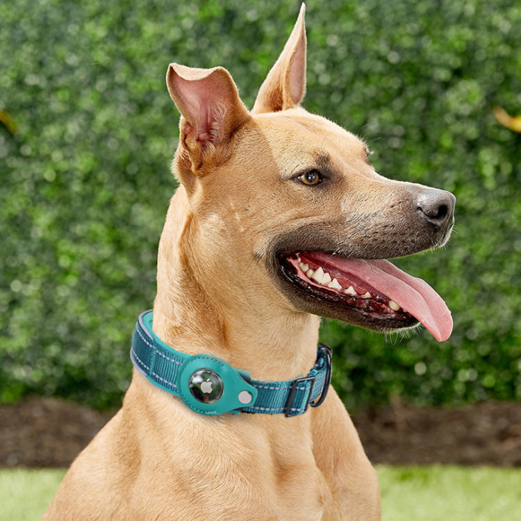 Dog GPS Tracking Collar Metal Buck Tactical Dog Collar With Airtag Air Tag Holder with Generic GPS Tracker not Apple Brand