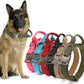 Dog GPS Tracking Collar Metal Buck Tactical Dog Collar With Airtag Air Tag Holder with Generic GPS Tracker not Apple Brand
